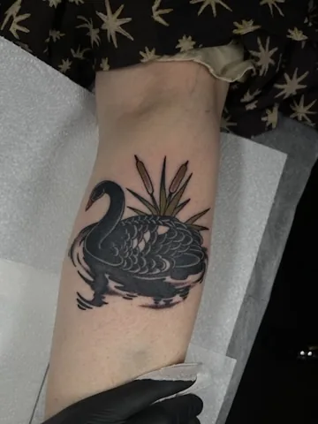 Black swan — traditional tattoo by Alex Roze, Kelowna